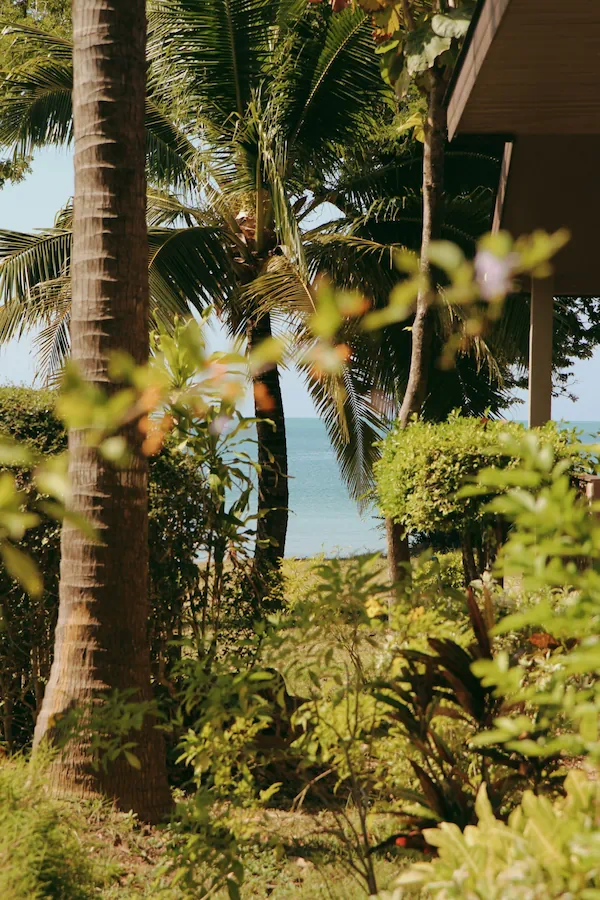 Scenic ocean view through lush palm trees and tropical garden at Anda Lanta Resort, capturing a peaceful vacation atmosphere.